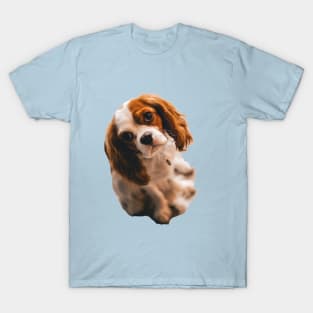 Cocker spaniel T-Shirt